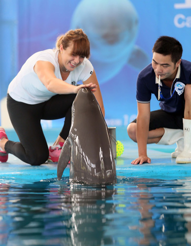 了他的信心 了他的信心