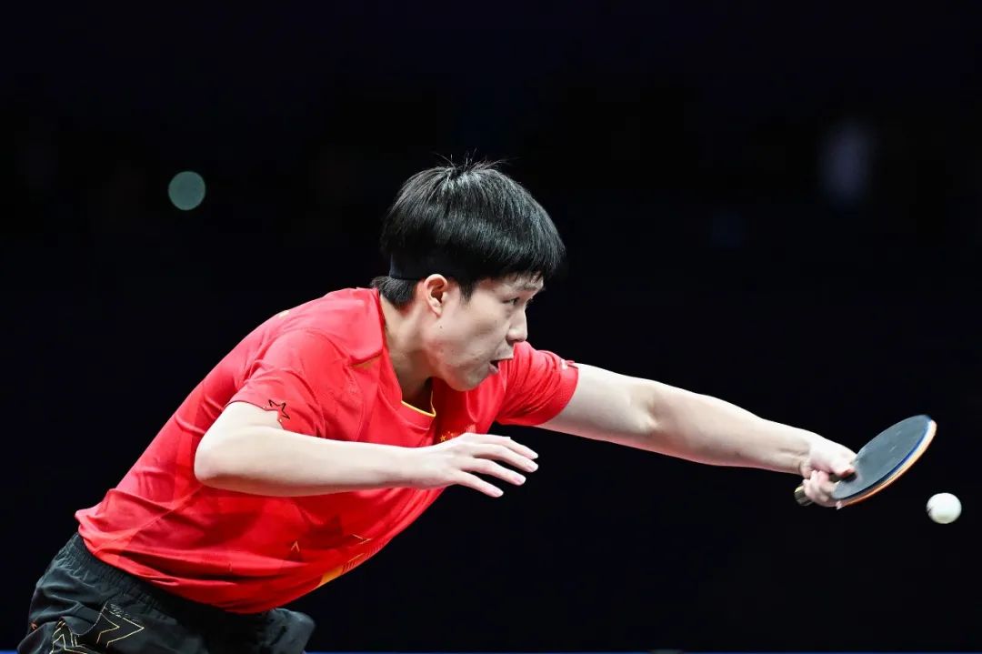 嗅觉和高效 嗅觉和高效